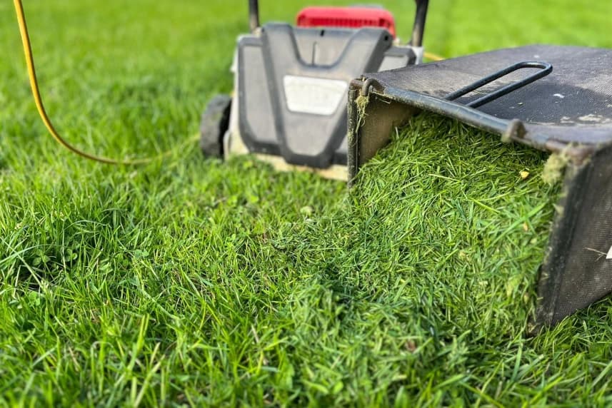 ZWiK apeluje: Skoszona trawa szczelnie zatyka wpusty - należy ją sprzątnąć