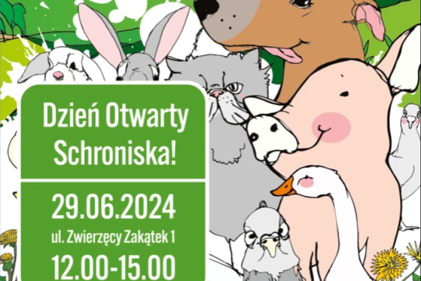 Dzień otwarty Schroniska dla bezdomnych zwierząt w Szczecinie. Program