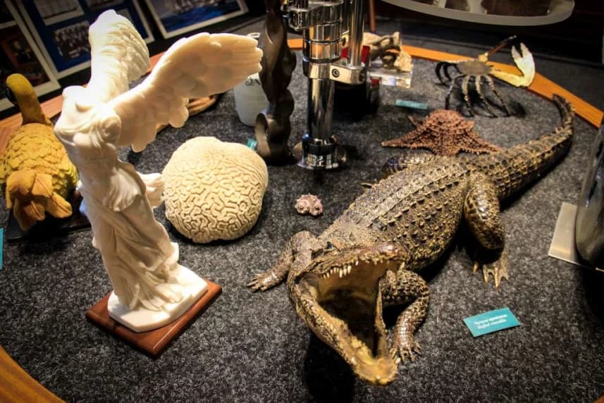 Odkryliśmy tajemnice Heleny oraz Kruzenhsterna Odkryliśmy tajemnice Heleny oraz Kruzenhsterna