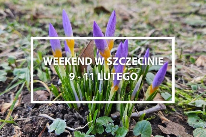 Weekend w Szczecinie: 9-11 lutego