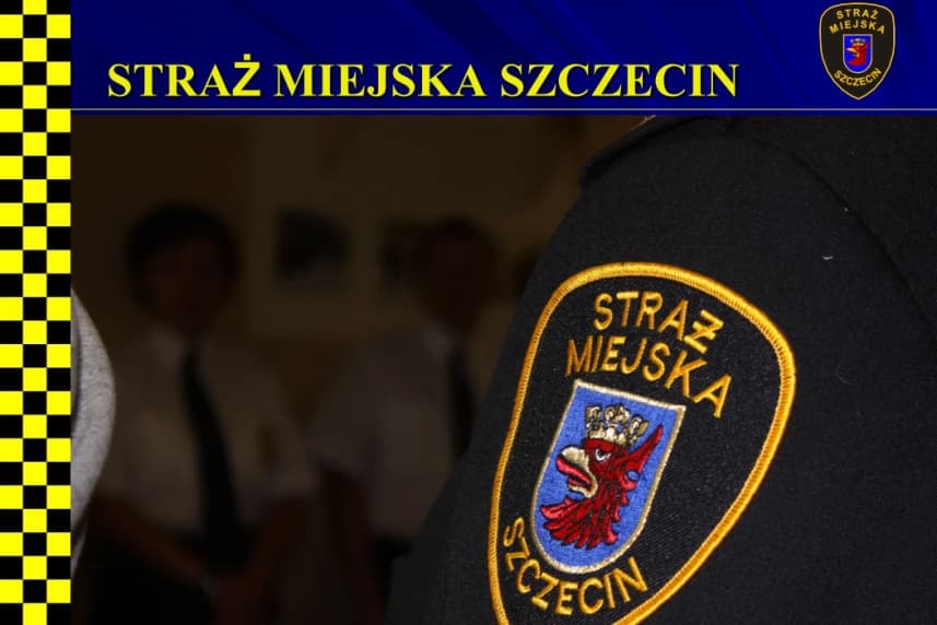 Szczecin: Kolejny łabędź uratowany przez strażników miejskich