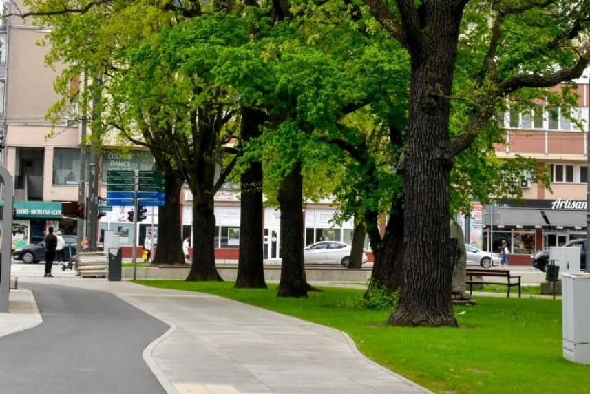Nowa zieleń na Placu Zwycięstwa Nowa zieleń na Placu Zwycięstwa