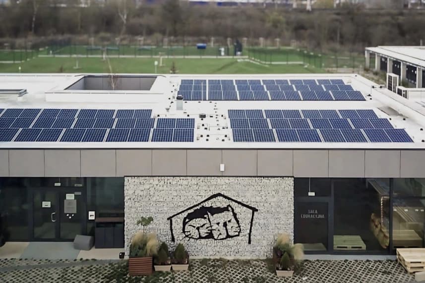 Zastrzyk słonecznej energii dla schroniska Nowe schronisko przy ul. Zwierzęcy Zakątek to obiekt, który nie tylko zapewnia doskonałe warunki podopiecznym, ale także umożliwia zastosowanie nowoczesnych i ekologicznych rozwiązań.
