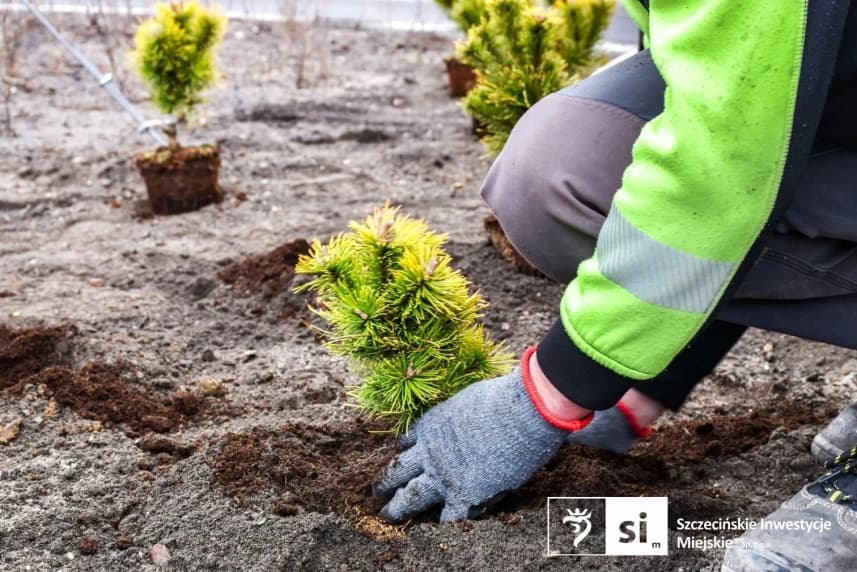 Selekcja roślin ważnym etapem inwestycji Selekcja roślin ważnym etapem inwestycji