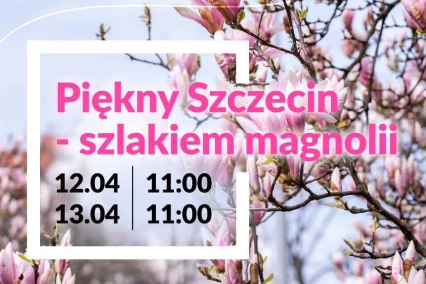 Zapraszamy na spacer „Piękny Szczecin – szlakiem magnolii” 12 i 13 kwietnia spod Centrum Informacji Turystycznej w Alei Kwiatowej w Szczecinie, wyruszy kolejna edycja spaceru "Piękny Szczecin – szlakiem magnolii".