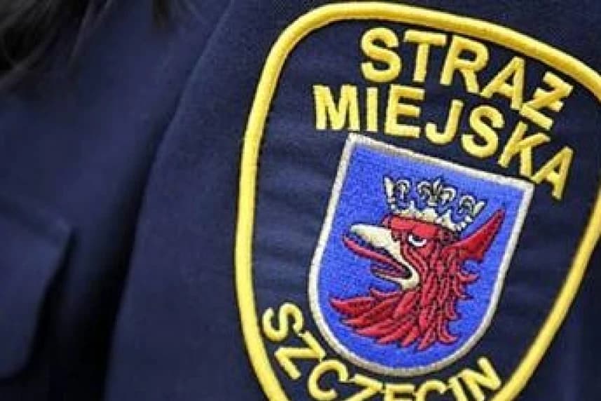 Zapraszamy na Targi Pracy. Straż Miejska poszukuje pracowników Zapraszamy na Targi Pracy. Straż Miejska poszukuje pracowników