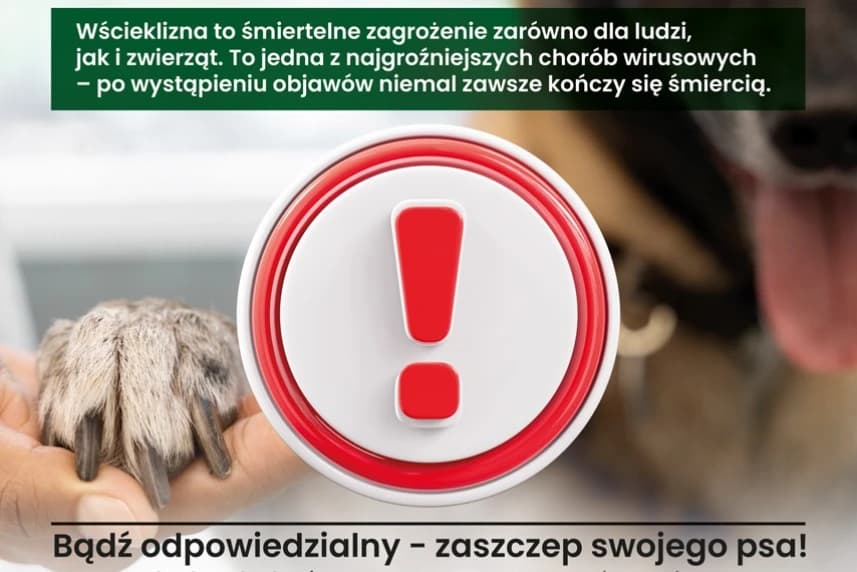 Czy zaszczepiłeś już swojego psa? Czy zaszczepiłeś już swojego psa?