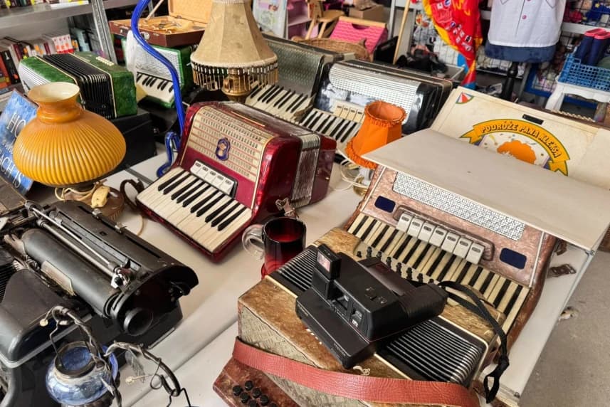 Odwiedź Szpargałka przed wakacjami Odwiedź Szpargałka przed wakacjami