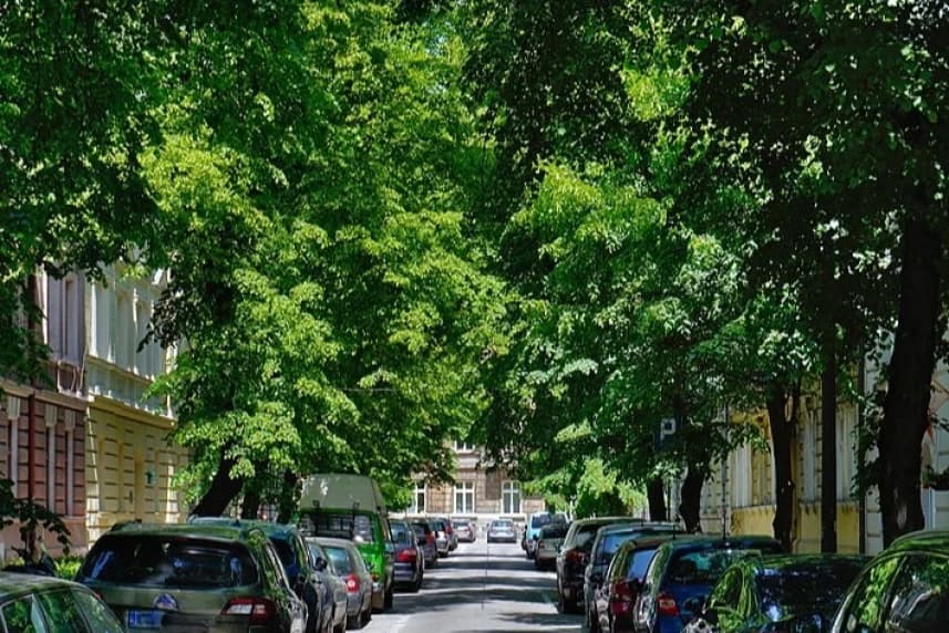 Wakacyjne czwartki sprzyjają kierowcom Wakacyjne czwartki sprzyjają kierowcom