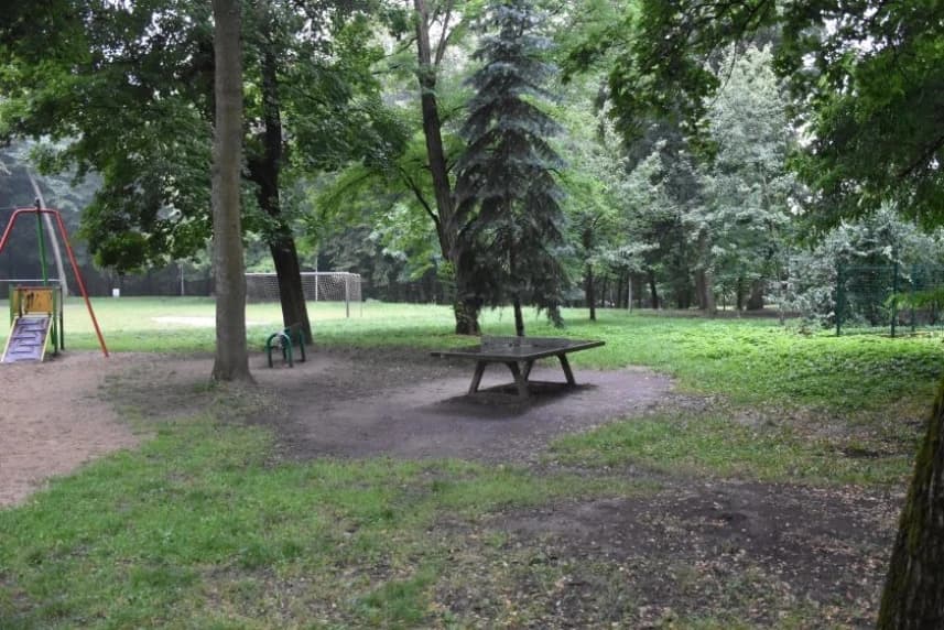Pierwszy etap rewitalizacji parku Chopina staje się faktem Park Chopina