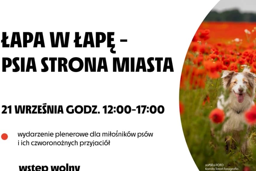Łapa w łapę.  Całodniowe wydarzenie dla miłośników czworonogów Łapa w łapę. Grafika informacyjna