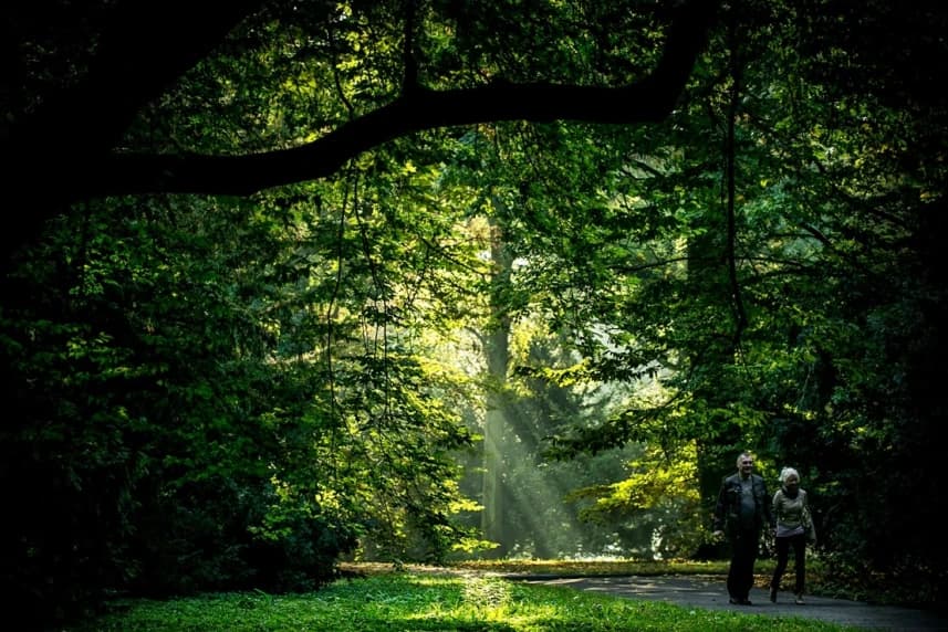 Poznaj skarby parku Żeromskiego Park ŻEROMSKIEGO