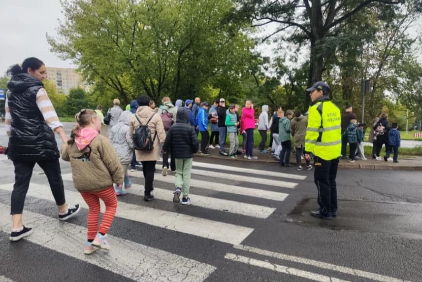 Uniwersalny patrol czyli strażniczki szkolne w akcji Grupa dzieci przechodzi przez ulicę w asyście Straży Miejskiej.