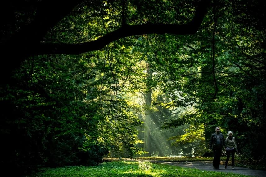 Park Żeromskiego. Kolejny krok ku odnowie Park Żeromskiego w Szczecinie
