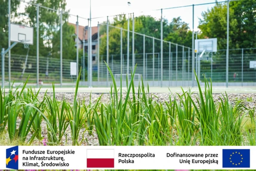 Rozwój zieleni miejskiej i bioróżnorodności na terenie Szczecina Nasadzenia zieleni przy boisku.