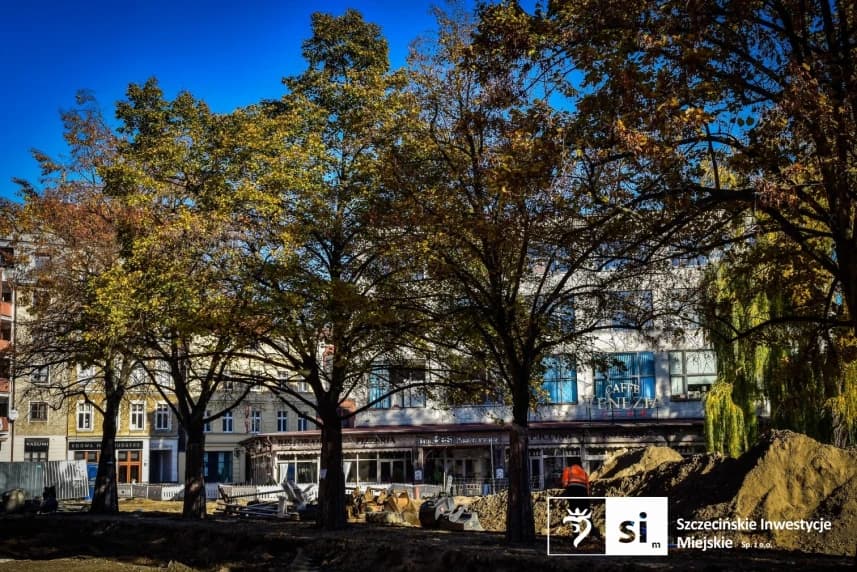 Drugi oddech dla lip na Placu Orła Białego Zabytkowy szpaler lip rosnący w obrębie modernizowanego Placu Orła Białego został poddany zabiegowi wydmuchiwania systemów korzeniowych.