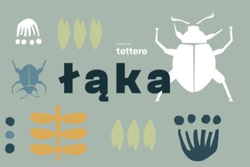 Fundacja Tettere zaprasza rodziny z dziećmi najmłodszymi na ŁĄKĘ Grafika ilustracyjna