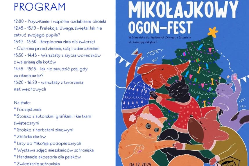 Mikołajki i cały rok z ogonkami Grafika informacyjna