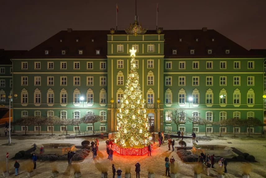 Magia świąt przerwana. Nowa miejska choinka padła ofiarą złodzieja Nowa choinka miejska na placu przed urzędem miejskim w Szczecinie