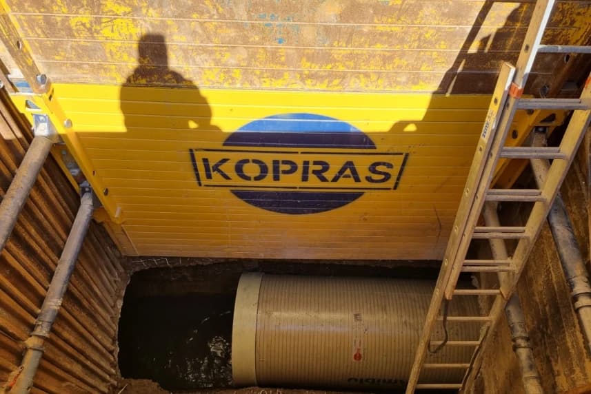 Bezpieczeństwo sanitarne miasta kontra mrówka rudnica Kolektor „F” to infrastrukturalny „kręgosłup” tej części Szczecina.