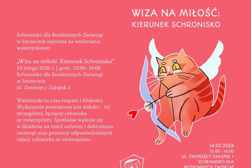 Walentynki w w Schronisku dla bezdomnych zwierząt w Szczecinie Grafika informacyjna