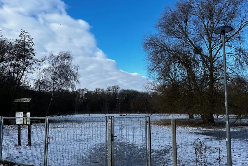 Dzięki SBO będzie więcej udogodnień w miejskich lasach Wybieg dla psów