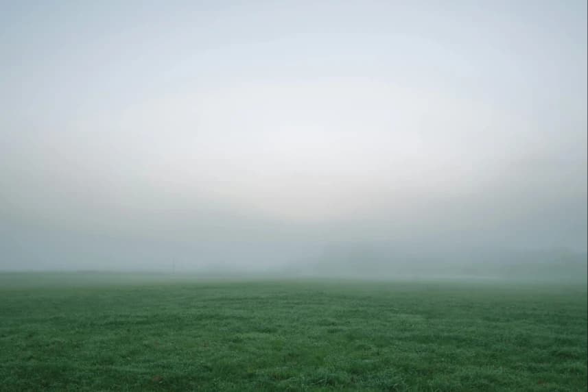 Ostrzeżenie I stopnia przed gęstą mgłą Gęsta mgła unosząca się nad zieloną polaną.