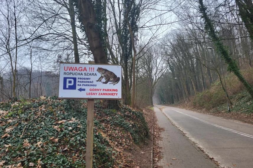 Ropuchy już poczuły wiosnę! Znak informacyjny przy drodze prowadzącej do Jeziora Szmaragdowego.