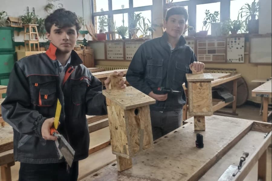 „Ptasia kawalerka” – licealiści ze Szczecina pomagają ptakom znaleźć dom W ramach projektu uczniowie zbudowali już 44 budki lęgowe.