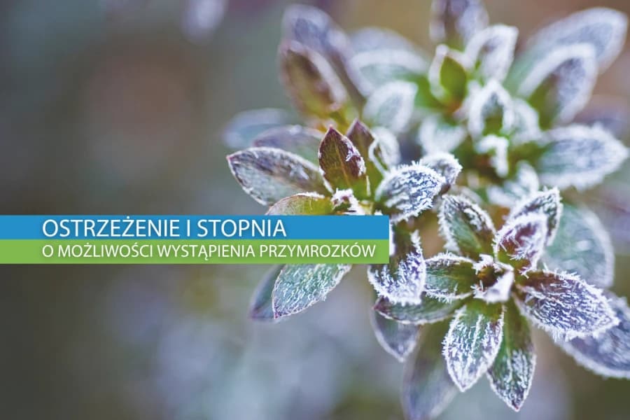 Ostrzeżenie I stopnia o przymrozkach Grafika ilustracyjna
