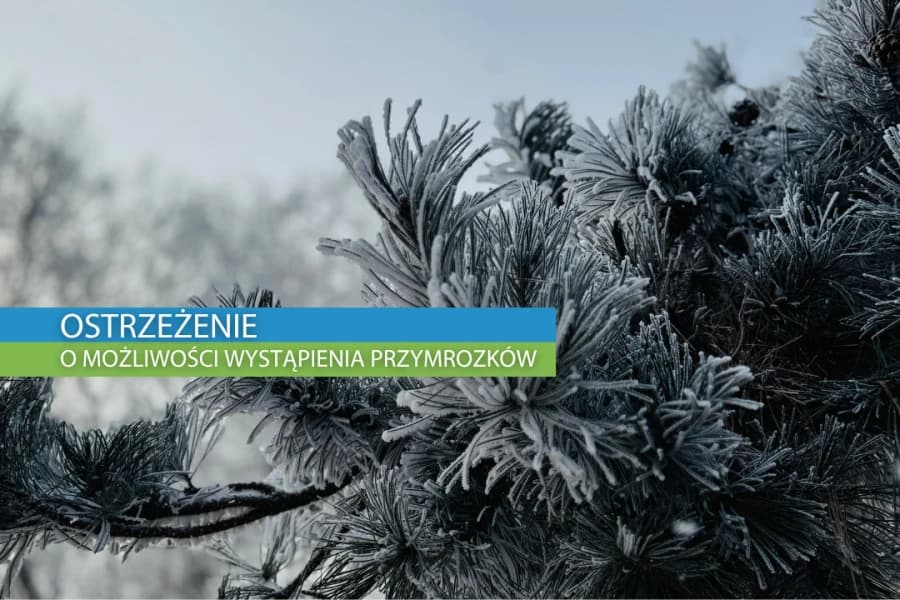 Ostrzeżenie przed przymrozkiem Grafika ilustracyjna