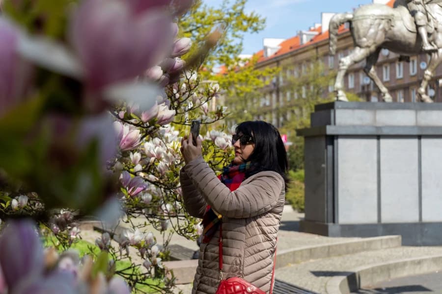 Przespaceruj się szlakiem magnolii i zrób dobry uczynek dla zwierząt Kobieta robiąca zdjęcie kwiatom magnolii
