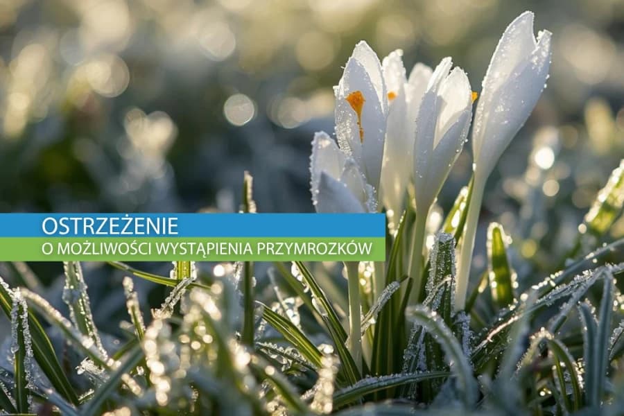 Ostrzeżenie meteorologiczne o wystąpieniu przymrozków Ostrzeżenie meteorologiczne o wystąpieniu przymrozków