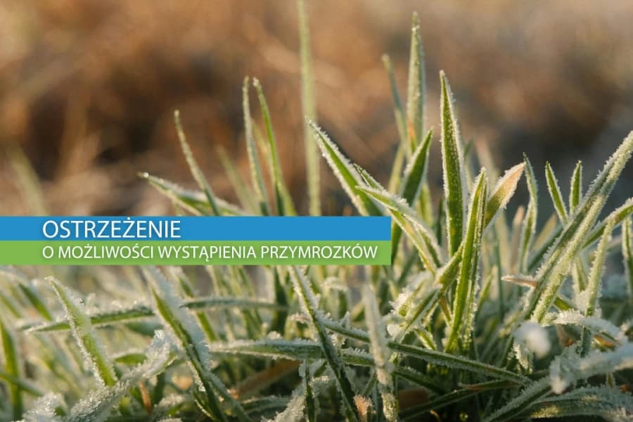 Ostrzeżenie meteorologiczne I stopnia o przymrozkach Grafika ilustracyjna