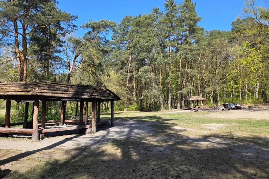 Majówka w lesie? Pamiętaj o zasadach! Majówka w mieście
