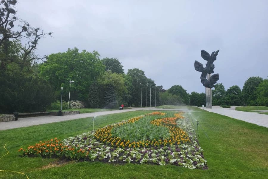 Dbajmy o zieleń na Jasnych Błoniach. Pozwólmy trawie urosnąć Jasne Błonia