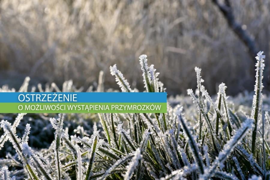 Ostrzeżenie meteorologiczne I stopnia o przymrozkach Grafika ilustracyjna