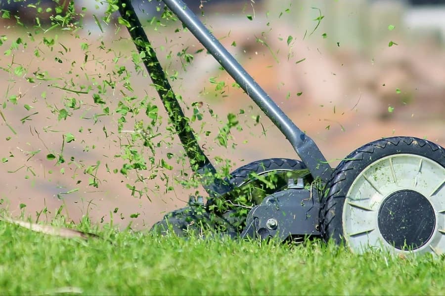 ZWiK apeluje: Skoszona trawa szczelnie zatyka wpusty Kosiarka do trawy