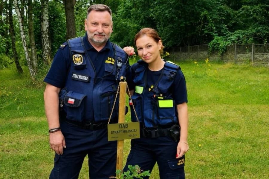 Festyn ekologiczny na osiedlu Płonia–Śmierdnica–Jezierzyce. Straż Miejska wspiera mieszkańców i działania na rzecz środowiska Sadzenie drzew przez strażników miejskich