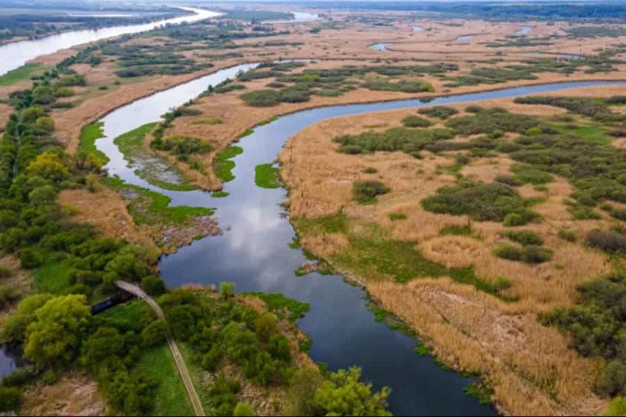 Cuda Polski 2026. Zachodniopomorskie walczy o zwycięstwo w plebiscycie National Geographic Park krajobrazowy Dolina Dolnej Odry