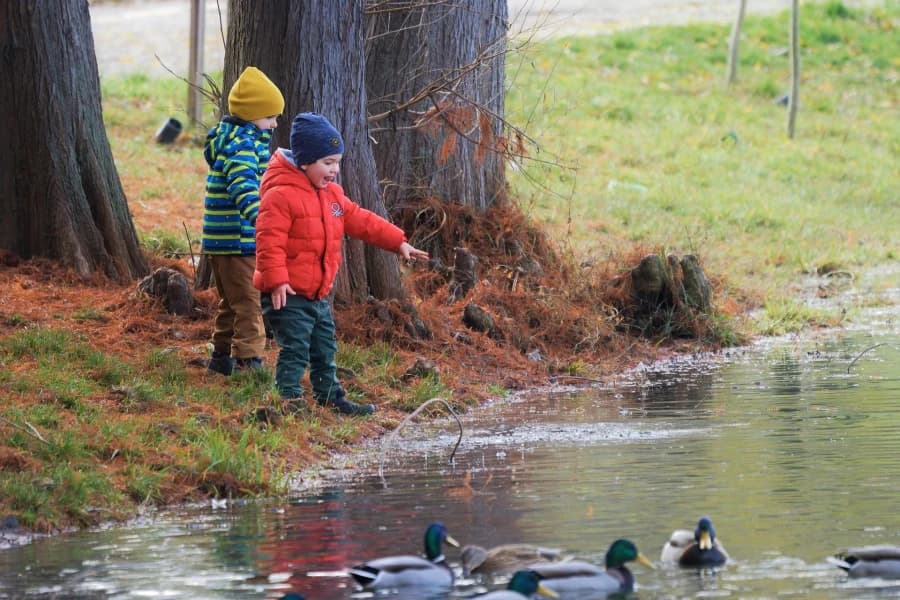 Listopad z dzieckiem w Szczecinie. Warsztaty, spektakle, lodowiska i rodzinne atrakcje Listopad z dzieckiem w Szczecinie. Gdzie się wybrać i jak pokonać jesienną nudę?