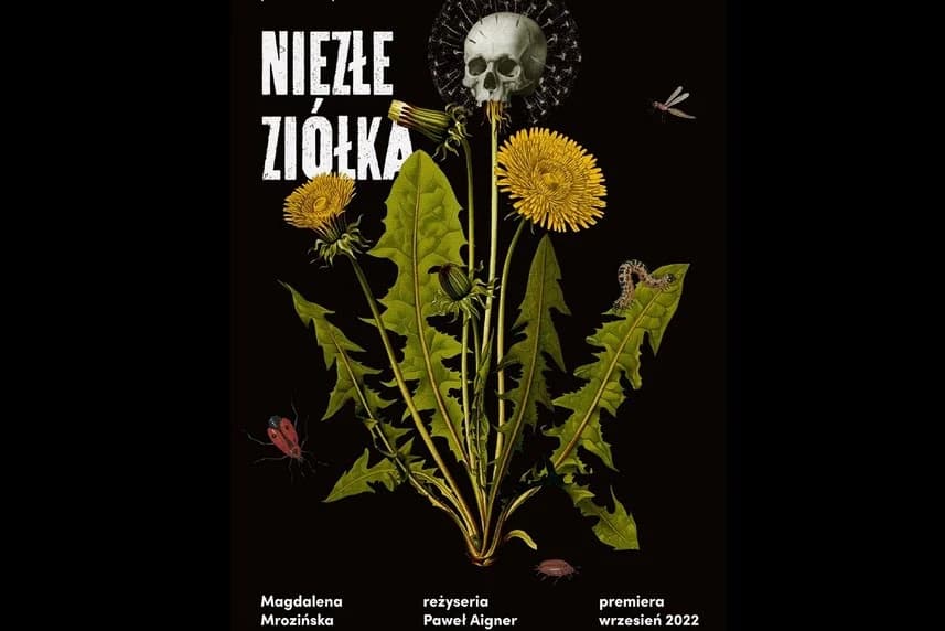 Niezłe ziółka