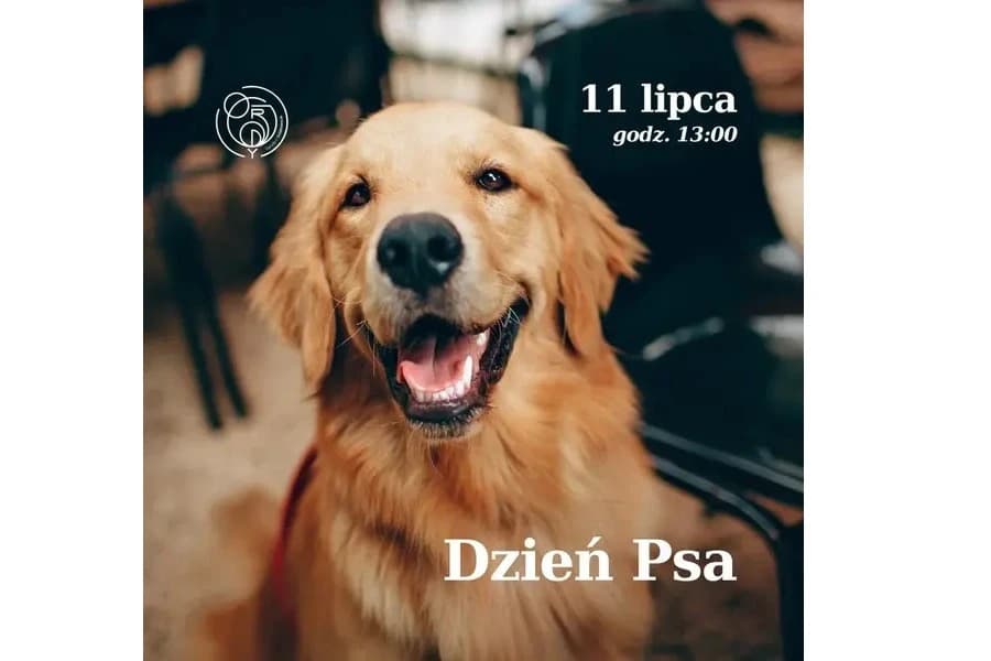 Dzień Psa