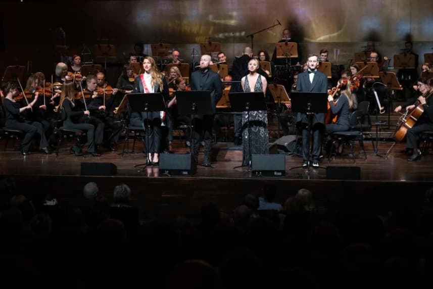 Bareja wieczorową porą