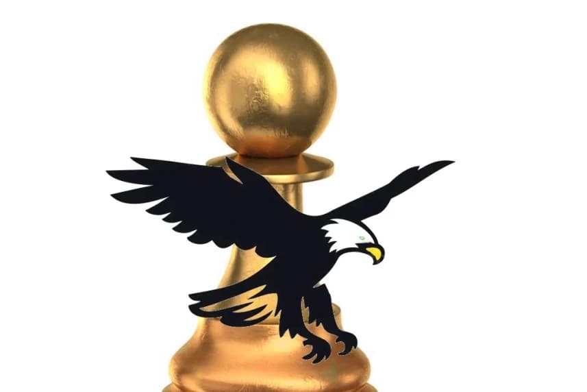 Festiwal Szachowy Chess Eagles w Szczecinie