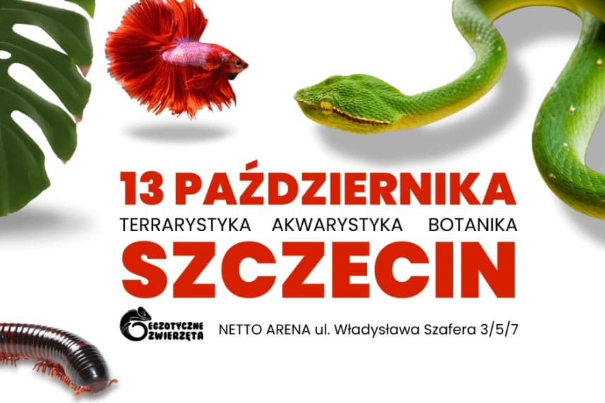 Egzotyczne Zwierzęta