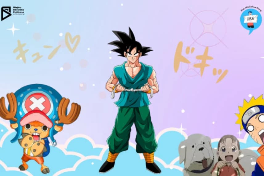 (Prawie) wszystkie wymiary anime