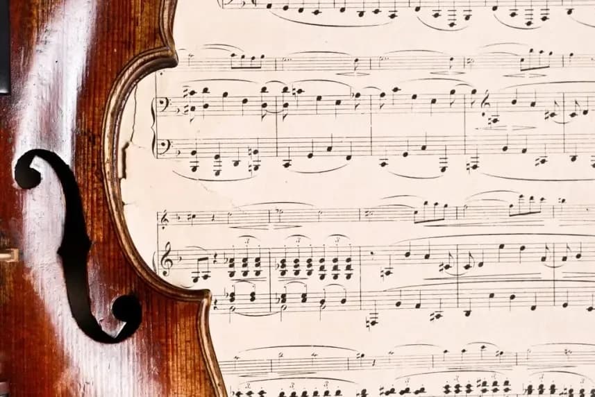 Violine - an einem guten Tag
