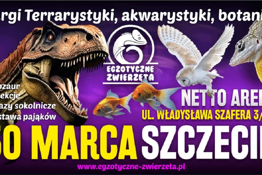Egzotyczne Zwierzęta