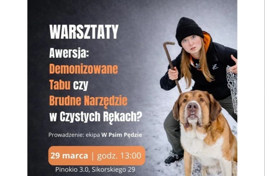 Warsztaty Awersja: Demonizowane Tabu czy Brudne Narzędzie w Czystych Rękach?